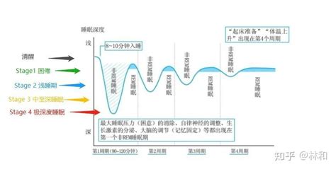 噪音影響睡眠|噪音对睡眠危害有多大？